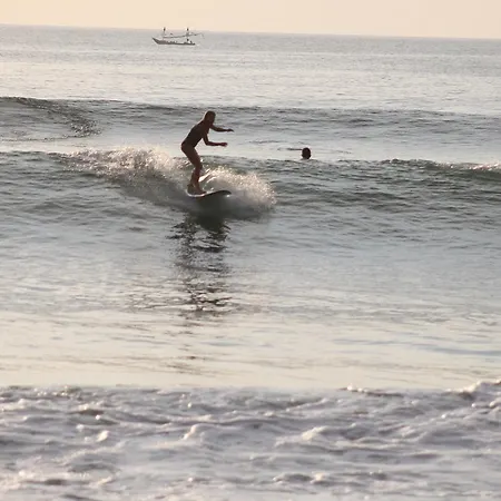 Unbranded Surfsurflesson