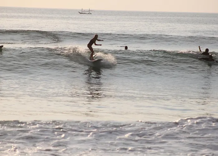 Unbranded Surfsurflesson 5*